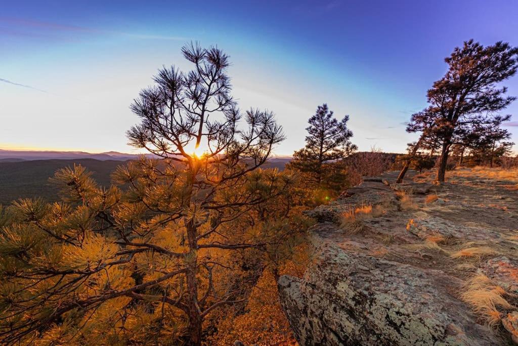 Forest Cabin 3 Bear'S Den Payson Bagian luar foto