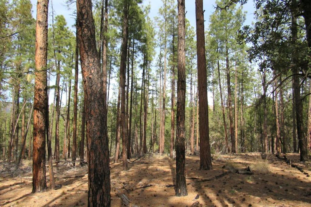 Forest Cabin 3 Bear'S Den Payson Bagian luar foto