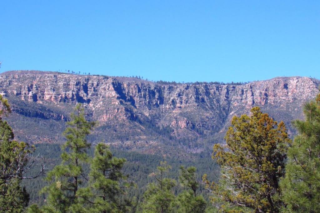 Forest Cabin 3 Bear'S Den Payson Bagian luar foto